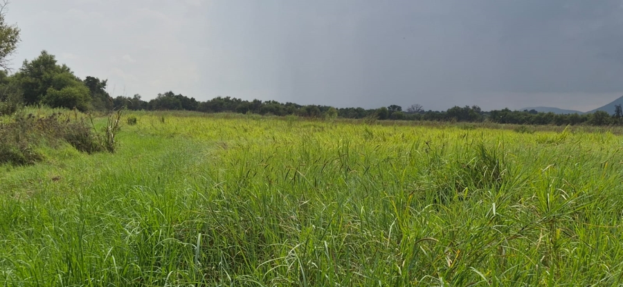 0 Bedroom Property for Sale in Koster North West